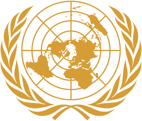 Procurement Officer at United Nations Economic Commission for Africa